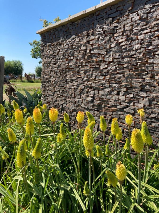 The Vaal Guesthouse Oranjeville Bagian luar foto