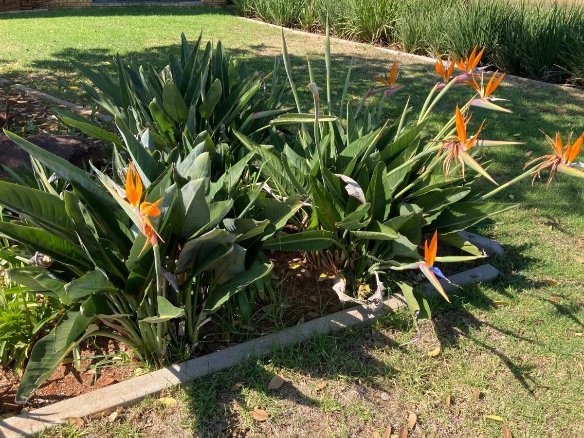 The Vaal Guesthouse Oranjeville Bagian luar foto