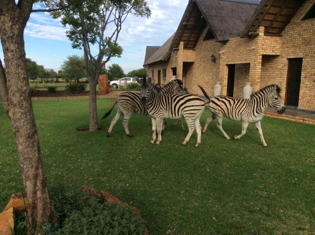 The Vaal Guesthouse Oranjeville Bagian luar foto